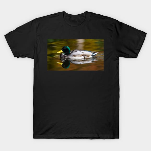 Restful Waters T-Shirt by gdb2